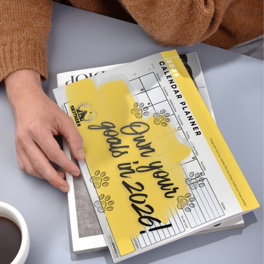 Skitnica - Mockup 03