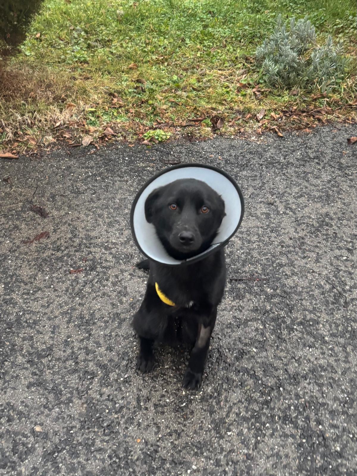 WhatsApp Image 2025-12-25 at 13.05.14 (1)