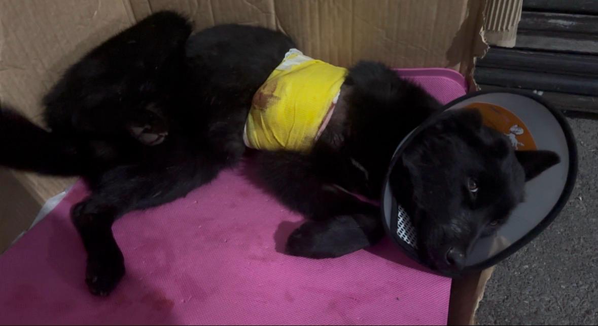 WhatsApp Image 2025-12-25 at 13.05.14 (3)