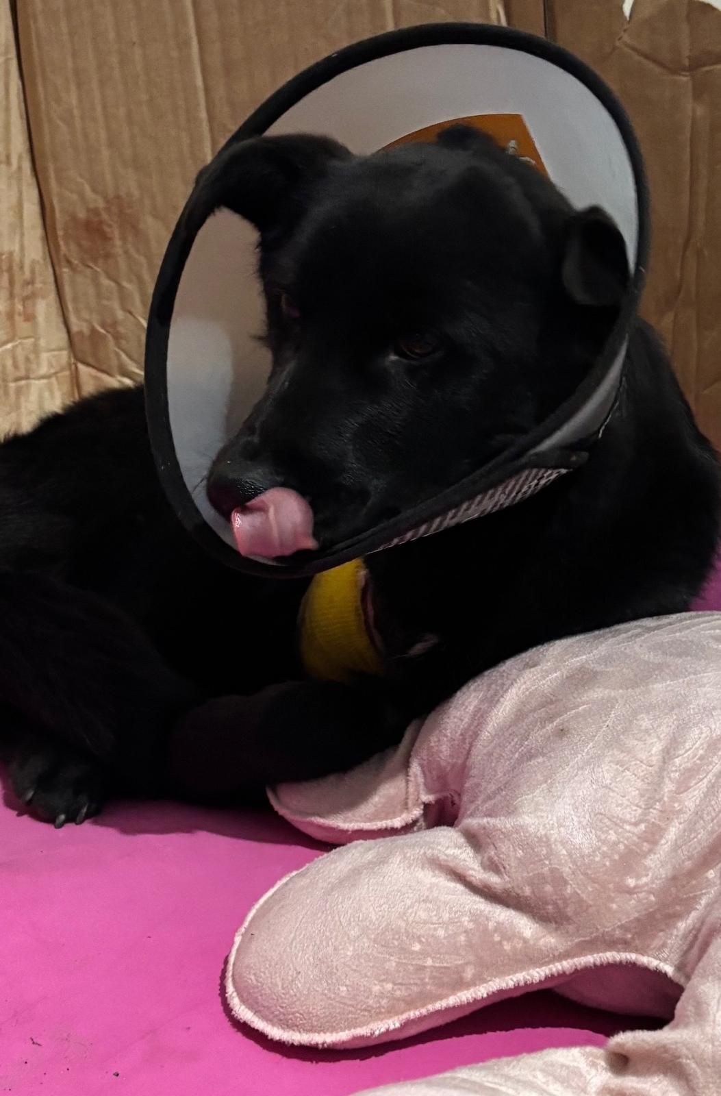 WhatsApp Image 2025-12-25 at 13.05.14