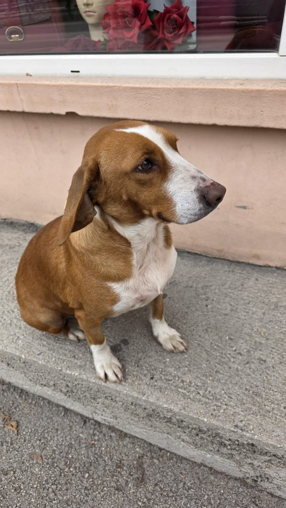 WhatsApp Image 2026-01-09 at 11.40.44