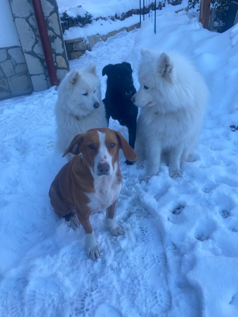 WhatsApp Image 2026-01-09 at 11.41.58