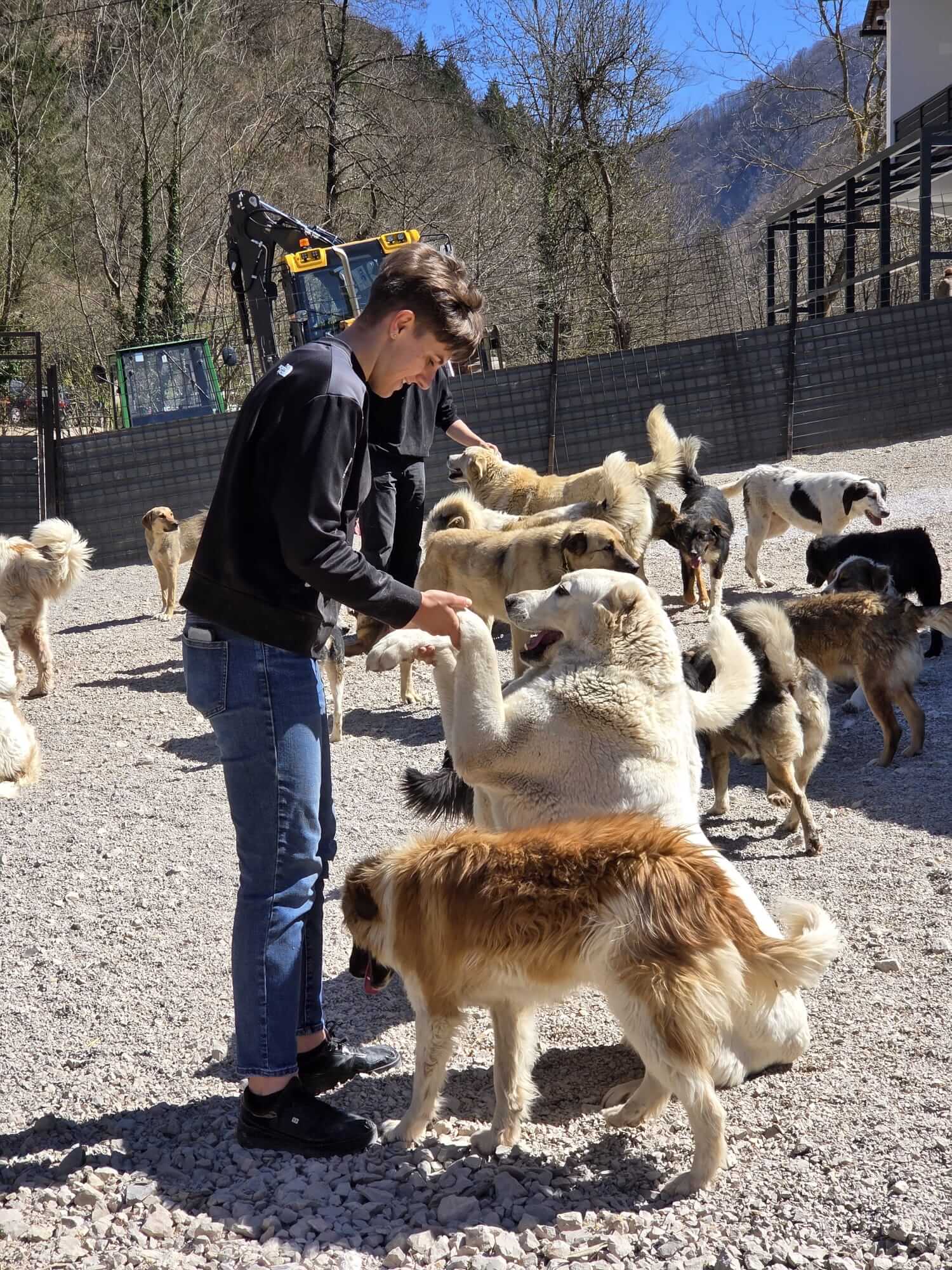 Posjeta Savethedogs (12)