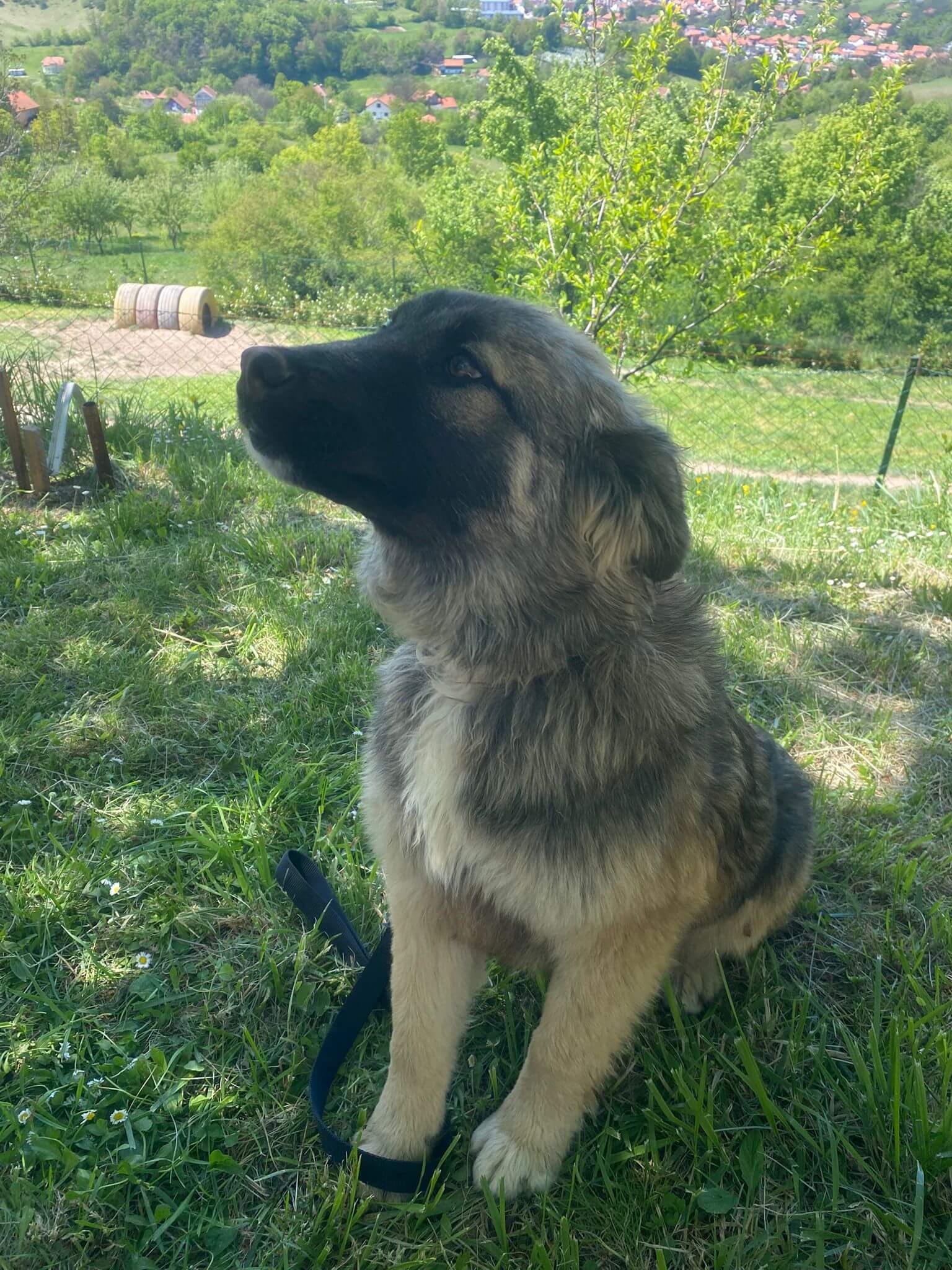 Brundo B2