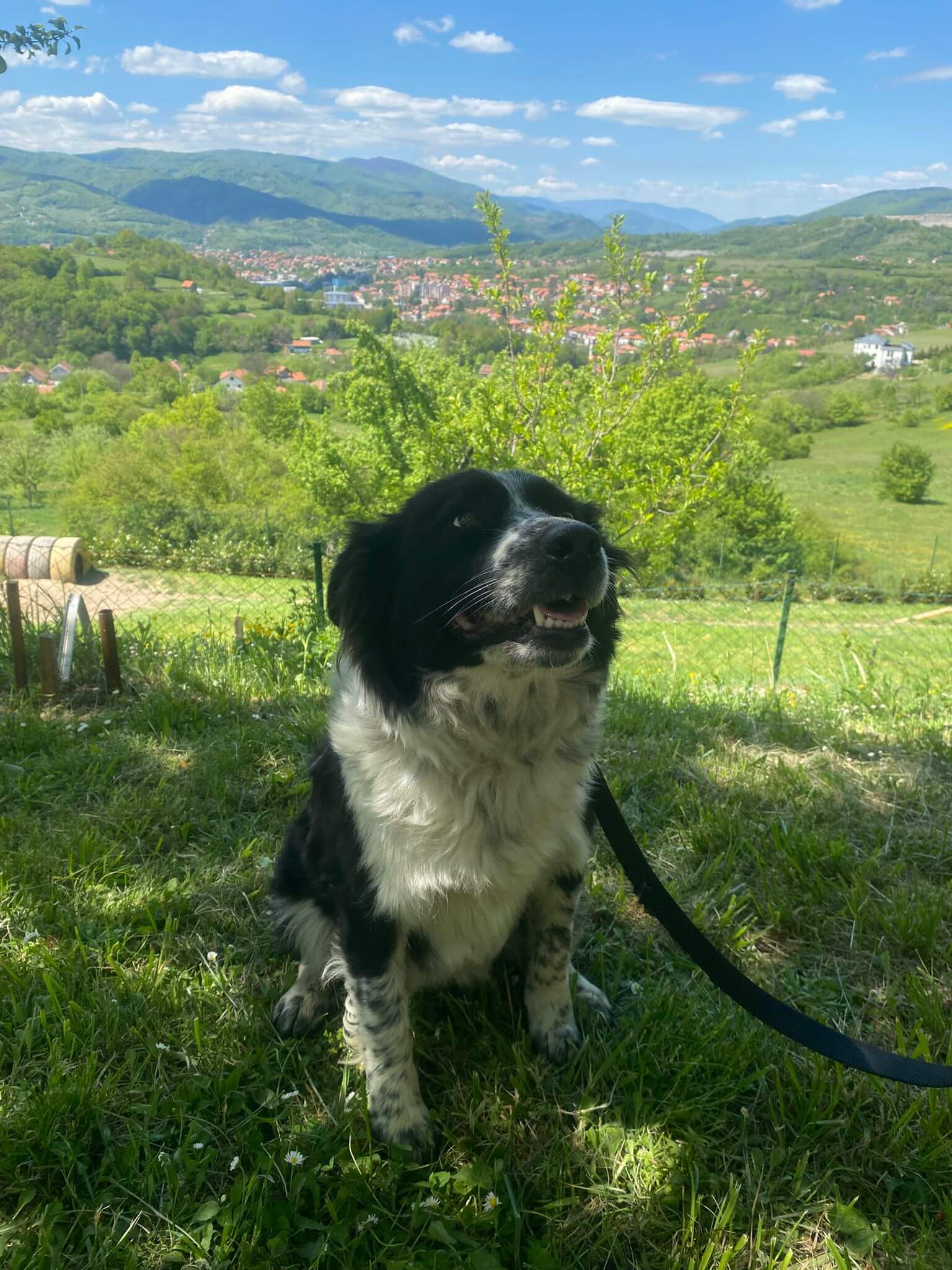 Kolli B3